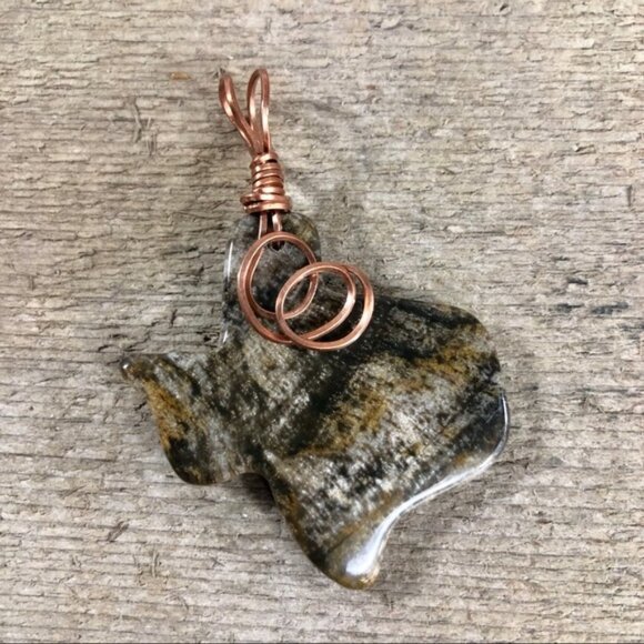 Petrified Wood Texas Necklace Pendant - Picture 1 of 4